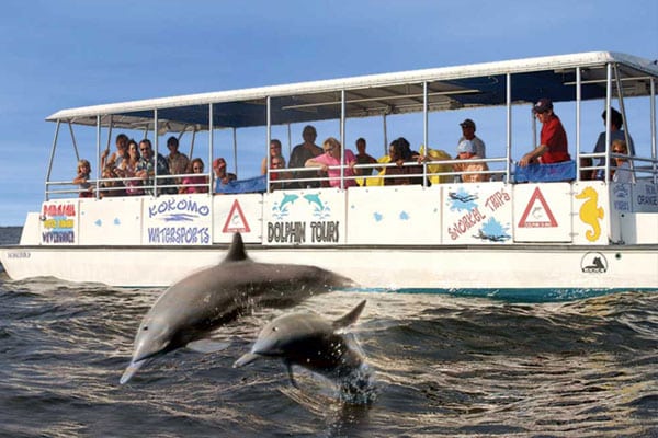 Dolphin Tours Outer Banks