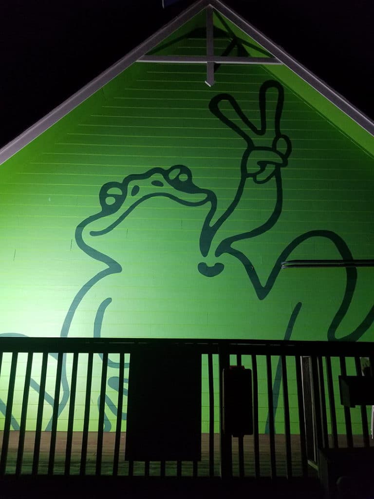 Peace Frog Building